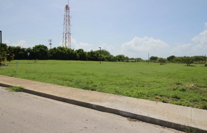 Bow Bells Estates