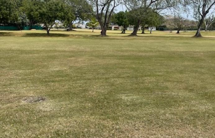 Rockley Golf & Country Club
