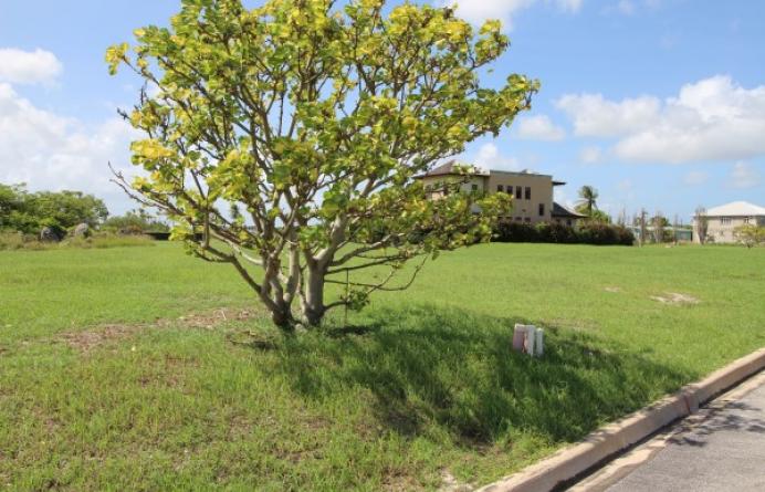 Bow Bells Estates, lot 5