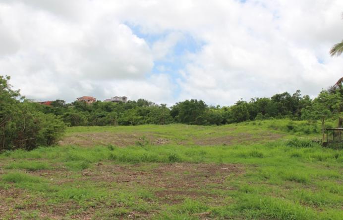 The Farm