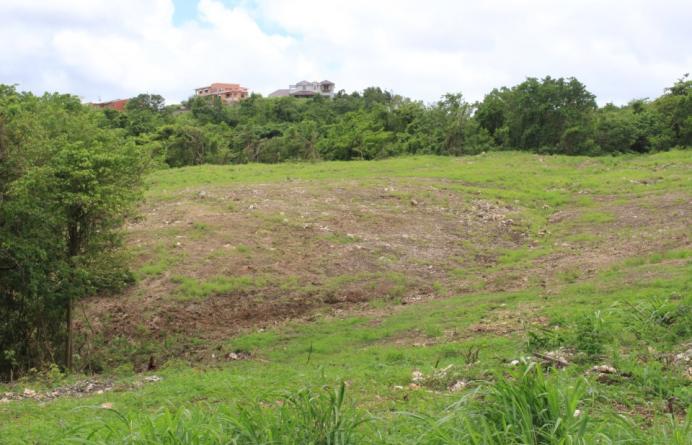 The Farm