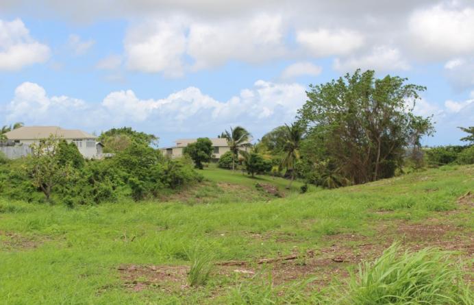 The Farm
