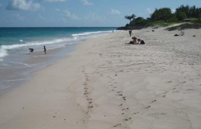 Silver Sands