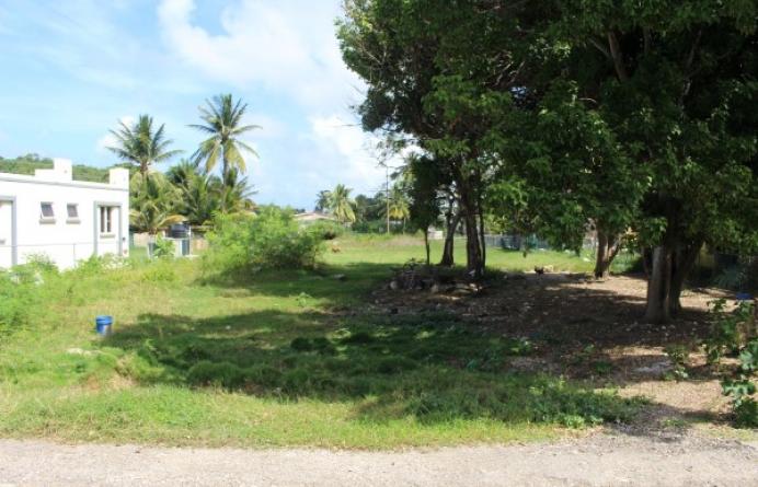 Belleplaine, Lot 4A