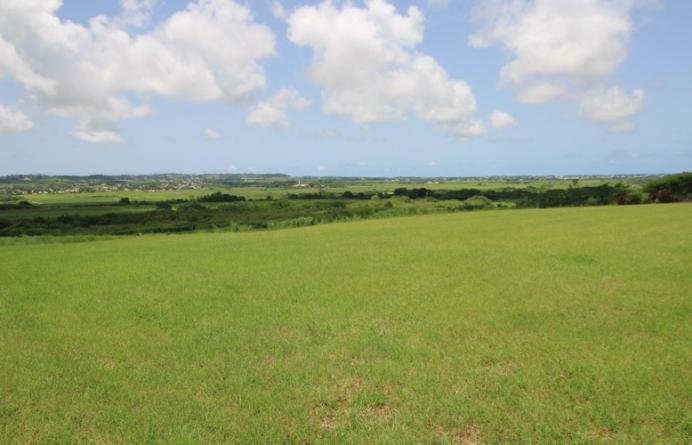 Yorkshire Plantation, Lot 5