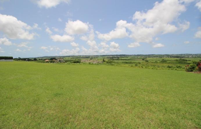 Yorkshire Plantation, Lot 5