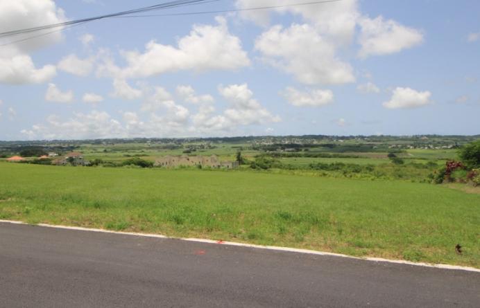 Yorkshire Plantation, Lot 5