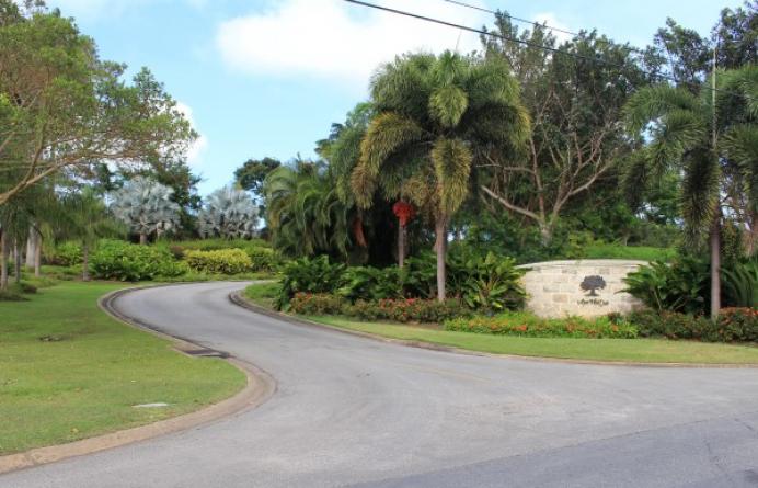 Apes Hill 3