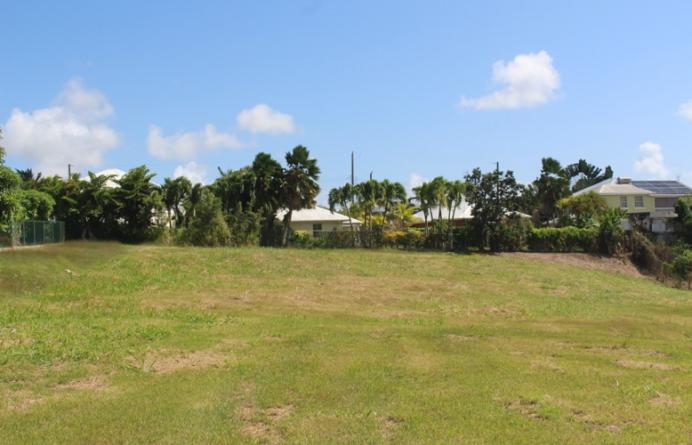 THE FARM
