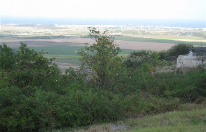 Mount Pleasant 62