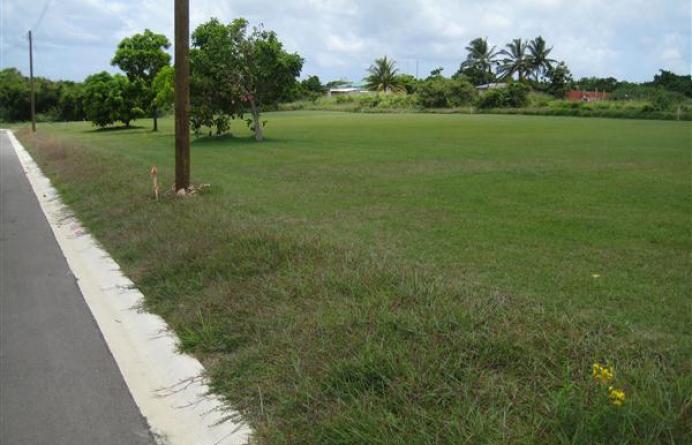 Rowans Drive