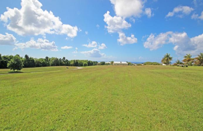 Apes Hill Polo Field