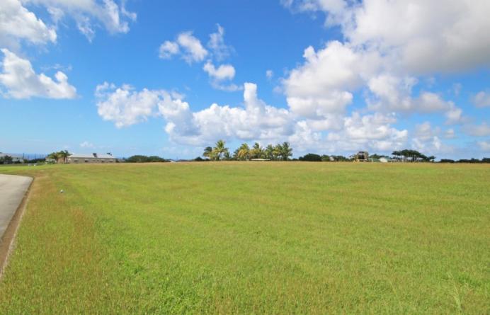 Apes Hill Polo Field