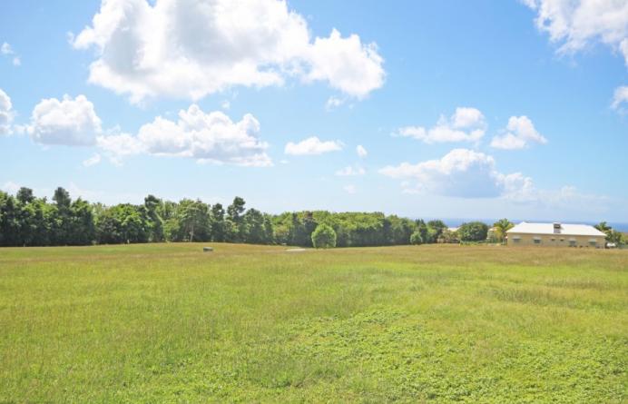 Apes Hill Polo Field