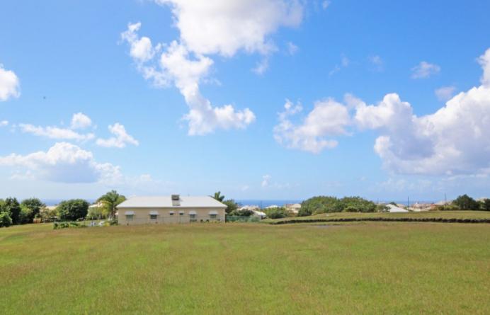Apes Hill Polo Field