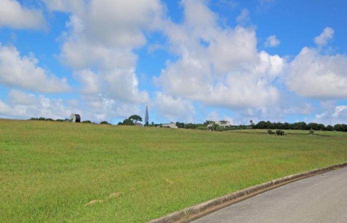 Apes Hill Polo Field