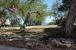 Maxwell Coast beachfront lot