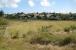 Fort George Heights
