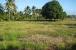 Hope Plantation