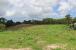 The Farm