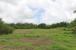 The Farm