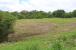 The Farm