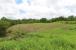 The Farm