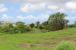 The Farm