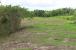 The Farm