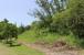 Cattlewash, Lot 47
