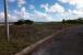 Rolling Hills