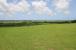 Yorkshire Plantation, Lot 5
