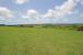 Yorkshire Plantation, Lot 5
