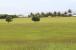 Apes Hill 3