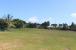 THE FARM