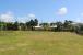 THE FARM