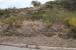 Fortescue