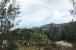 Newcastle, Lot 3