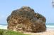 Cattlewash, Lot 47